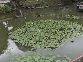 DSC_1114.JPG