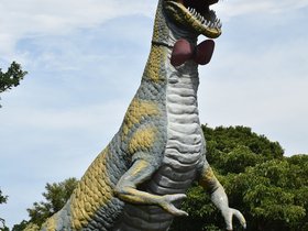 DSC_1294.JPG
