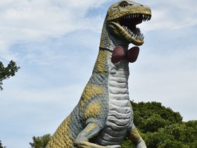 DSC_1296.JPG