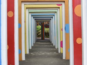 DSC_1304.JPG