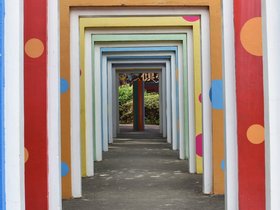 DSC_1305.JPG