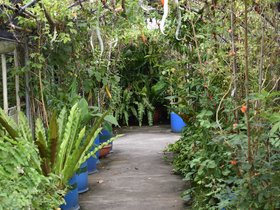 DSC_1313.JPG