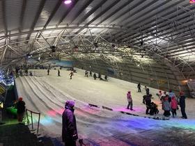 IMG_7339.jpg
