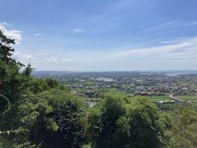 IMG_7383.jpg