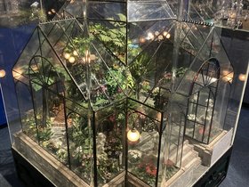 IMG_8871.JPG