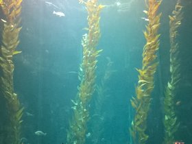WP_20180818_15_16_39_Pro.jpg