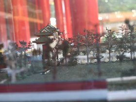 DSC_3460.JPG