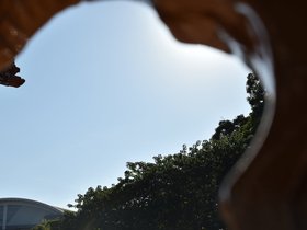 DSC_3471.JPG