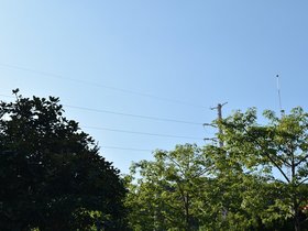 DSC_3484.JPG