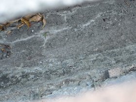 DSC_3507.JPG