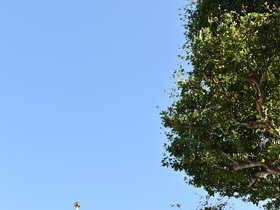 DSC_3513.JPG