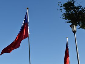 DSC_3520.JPG