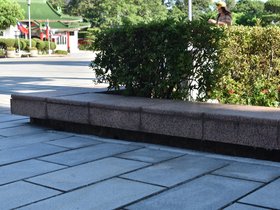 DSC_3524.JPG