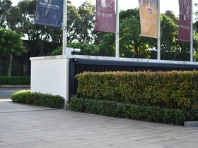 DSC_3564.JPG