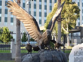 DSC_3567.JPG