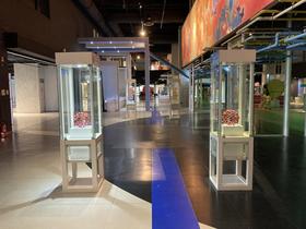 IMG_8056.jpg