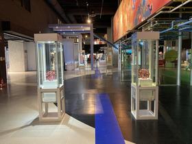 IMG_8057.jpg