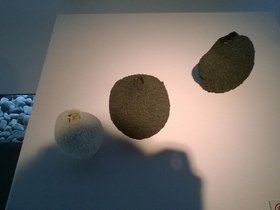 WP_20160804_16_00_37_Pro.jpg