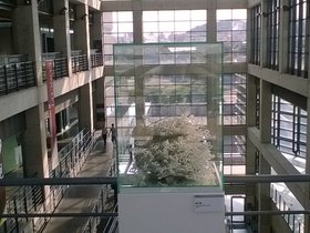 WP_20160804_16_07_00_Pro.jpg