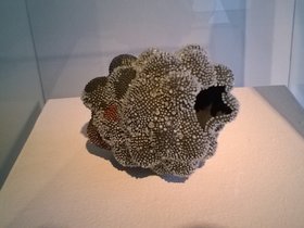 WP_20160804_16_12_48_Pro.jpg