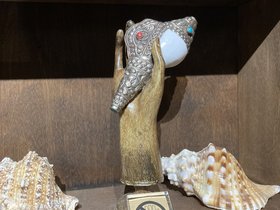 IMG_0491.JPG