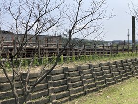 IMG_3759.JPG