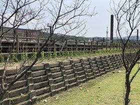 IMG_3760.JPG