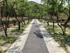 IMG_5071.JPG