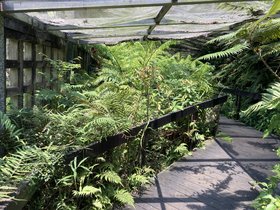 IMG_5073.JPG