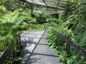 IMG_5075.JPG
