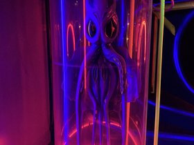 IMG_3791.JPG
