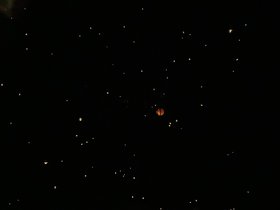 IMG_5537.JPG