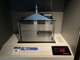 IMG_5549.JPG