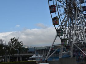 DSC_0892.JPG
