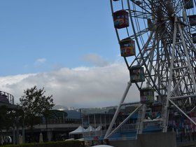DSC_0893.JPG