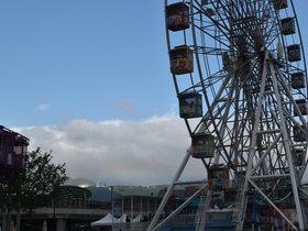 DSC_0894.JPG