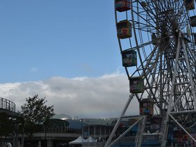 DSC_0895.JPG