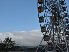 DSC_0900.JPG