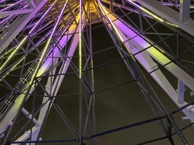 IMG_5519.JPG