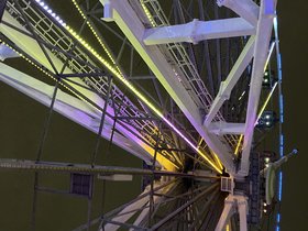 IMG_5536.JPG