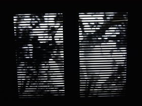 DSC_3075.JPG