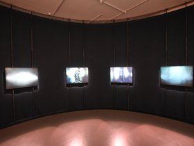 DSC_3146.JPG