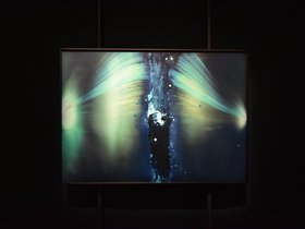 DSC_3159.JPG