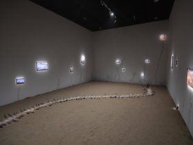 DSC_3191.JPG