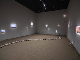 DSC_3193.JPG