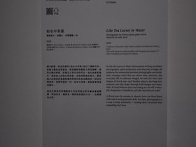 DSC_3196.JPG
