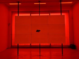 DSC_3237.JPG