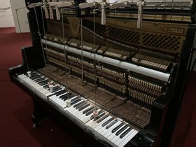 IMG_0613.JPG