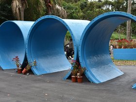 DSC_0135.JPG