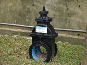 DSC_0137.JPG